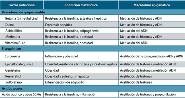 Tabla 1. Algunos factores nutricionales que tienen efecto metabólico mediante la modulación de eventos epigenéticos